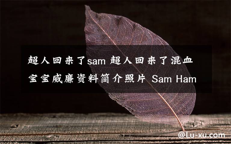 超人回来了sam 超人回来了混血宝宝威廉资料简介照片 Sam Hammington儿子