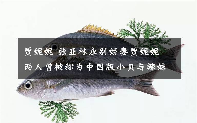 贾妮妮 张亚林永别娇妻贾妮妮 两人曾被称为中国版小贝与辣妹