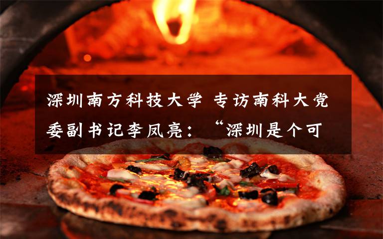 深圳南方科技大学 专访南科大党委副书记李凤亮:“深圳是个可以实现梦想的地方”