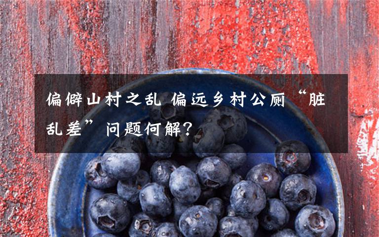 偏僻山村之乱 偏远乡村公厕“脏乱差”问题何解？