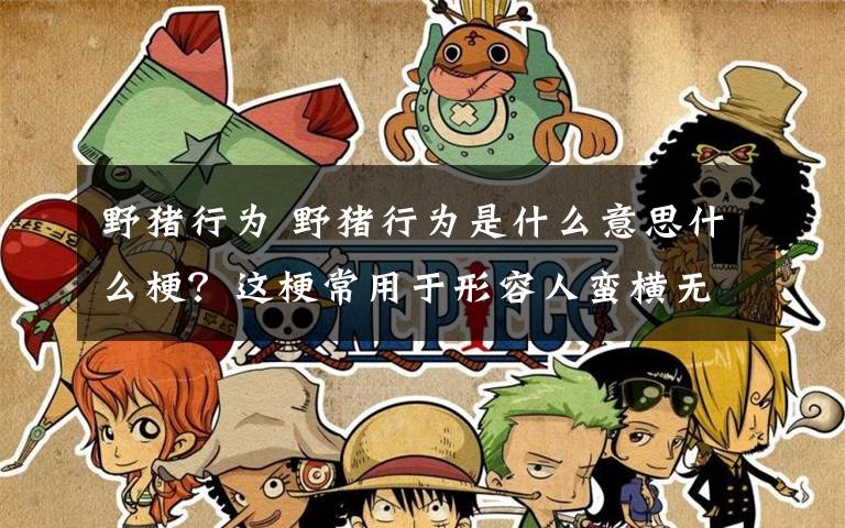 野猪行为 野猪行为是什么意思什么梗?这梗常用于形容人蛮横无理