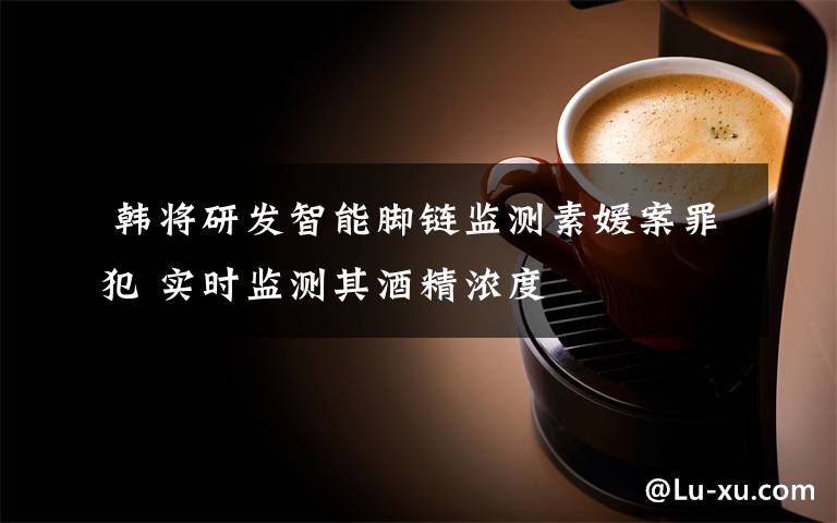 韩将研发智能脚链监测素媛案罪犯 实时监测其酒精浓度