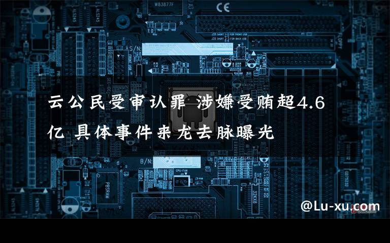 云公民受审认罪 涉嫌受贿超4.6亿 具体事件来龙去脉曝光