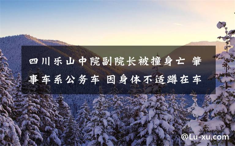 四川乐山中院副院长被撞身亡 肇事车系公务车 因身体不适蹲在车前