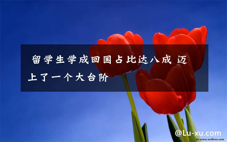 留学生学成回国占比达八成 迈上了一个大台阶