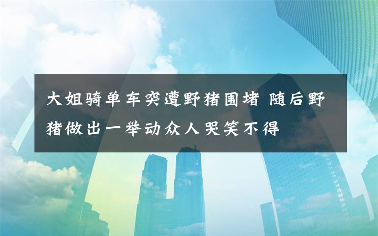 大姐骑单车突遭野猪围堵 随后野猪做出一举动众人哭笑不得