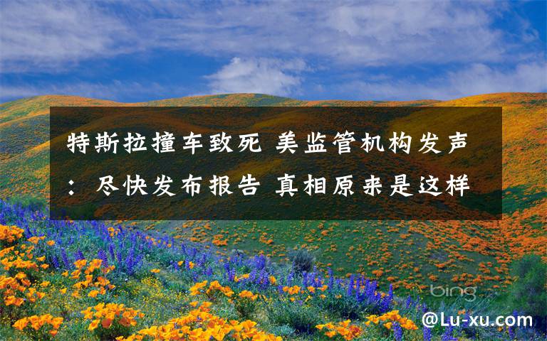 特斯拉撞车致死 美监管机构发声:尽快发布报告 真相原来是这样!