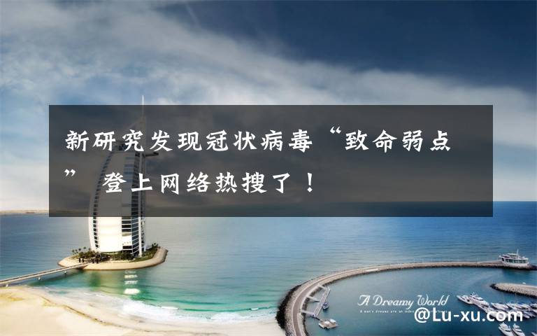 新研究发现冠状病毒“致命弱点” 登上网络热搜了!