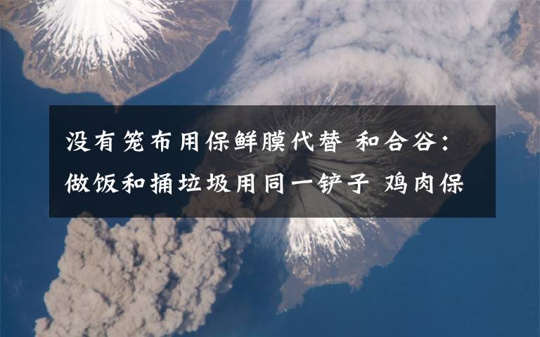 没有笼布用保鲜膜代替 和合谷：做饭和捅垃圾用同一铲子 鸡肉保质期随便改