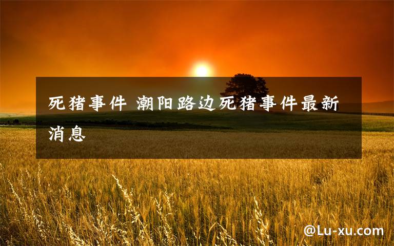死猪事件 潮阳路边死猪事件最新消息