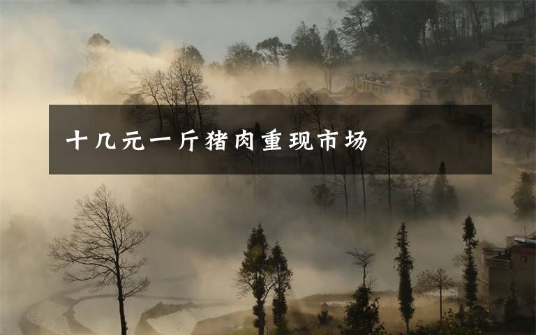 十几元一斤猪肉重现市场