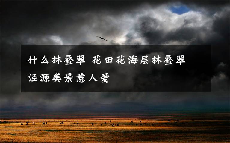 什么林叠翠 花田花海层林叠翠 泾源美景惹人爱