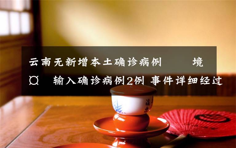 云南无新增本土确诊病例   境外输入确诊病例2例 事件详细经过!