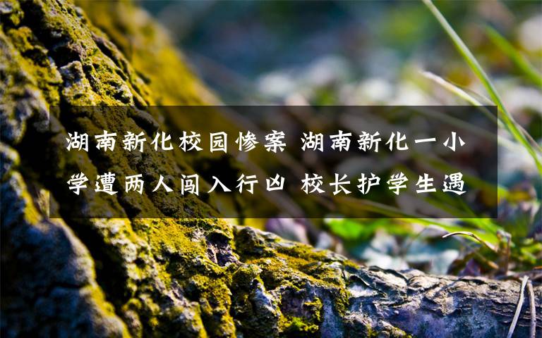 湖南新化校园惨案 湖南新化一小学遭两人闯入行凶 校长护学生遇难