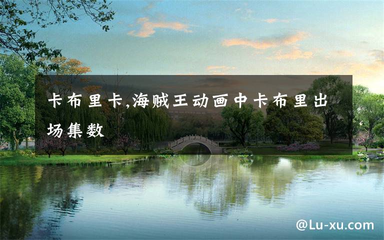 卡布里卡,海贼王动画中卡布里出场集数