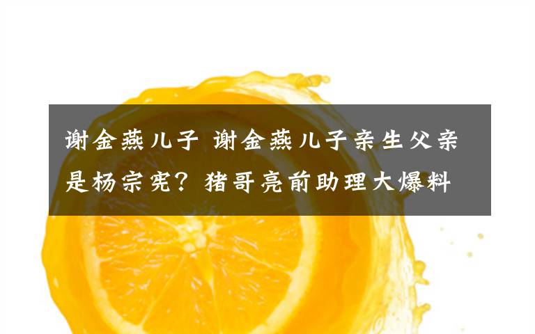 谢金燕儿子 谢金燕儿子亲生父亲是杨宗宪？猪哥亮前助理大爆料