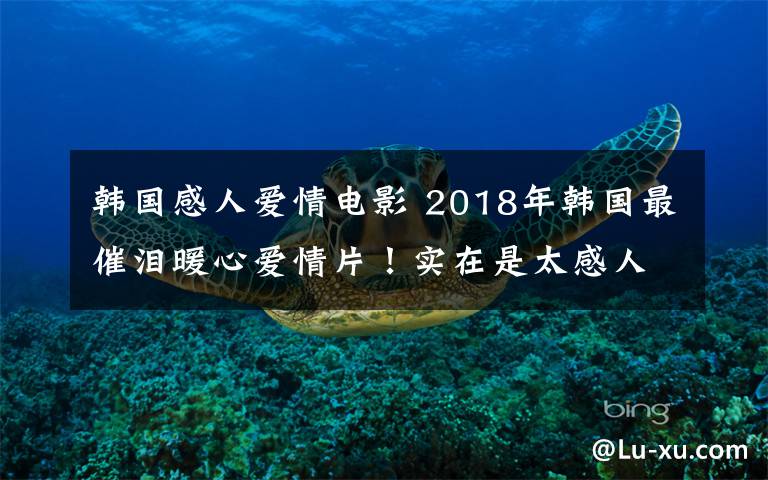 韩国感人爱情电影 2018年韩国最催泪暖心爱情片!实在是太感人了!