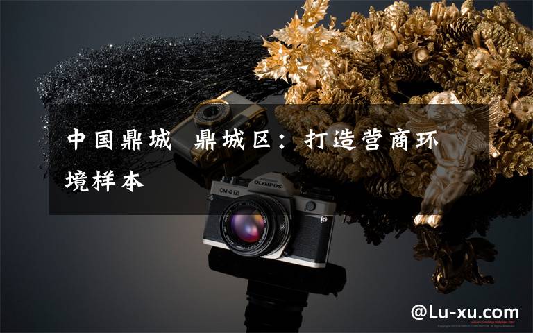 中国鼎城  鼎城区:打造营商环境样本