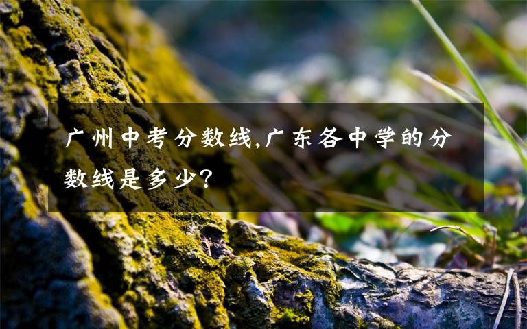 广州中考分数线,广东各中学的分数线是多少？