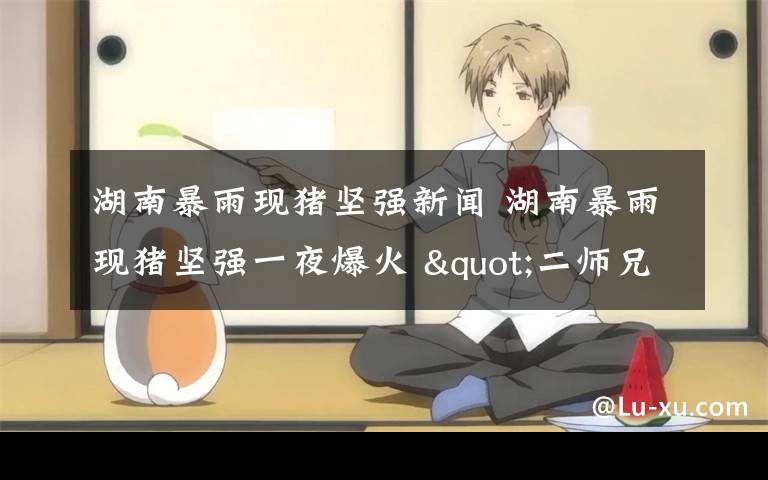 湖南暴雨现猪坚强新闻 湖南暴雨现猪坚强一夜爆火 "二师兄"趴石头上躲洪水"稳如泰山"