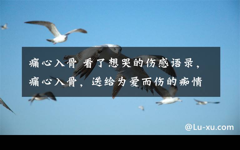 痛心入骨 看了想哭的伤感语录,痛心入骨,送给为爱而伤的痴情人!
