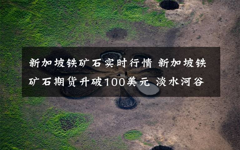 新加坡铁矿石实时行情 新加坡铁矿石期货升破100美元 淡水河谷一矿区停产引发供应担忧(附股)