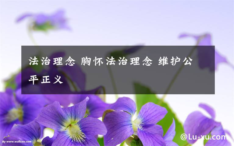 法治理念 胸怀法治理念 维护公平正义