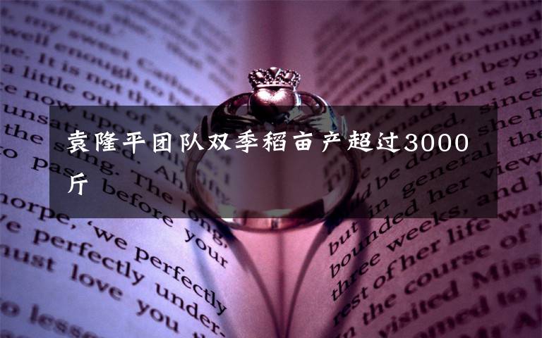 袁隆平团队双季稻亩产超过3000斤