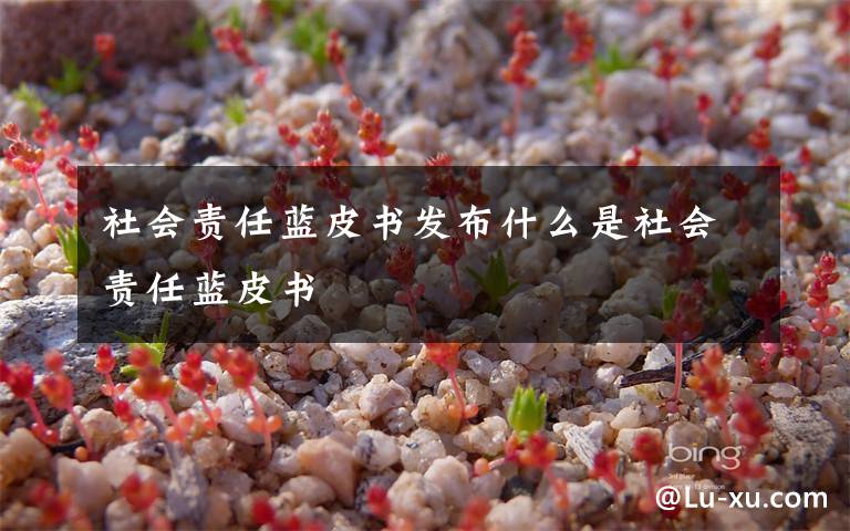 社会责任蓝皮书发布什么是社会责任蓝皮书
