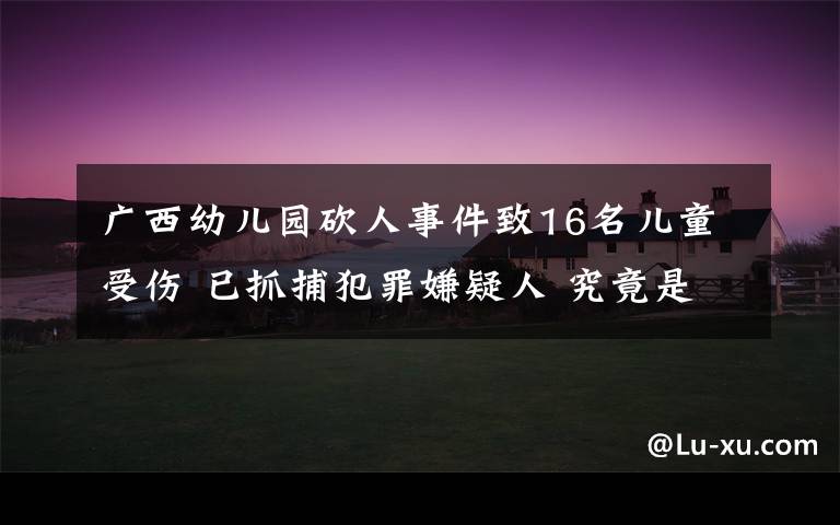 广西幼儿园砍人事件致16名儿童受伤 已抓捕犯罪嫌疑人 究竟是怎么一回事?
