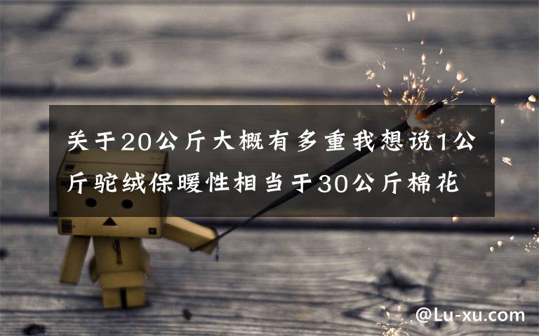 关于20公斤大概有多重我想说1公斤驼绒保暖性相当于30公斤棉花?天眼查显示:俞兆林因夸大产品性能被罚