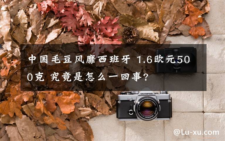 中国毛豆风靡西班牙 1.6欧元500克 究竟是怎么一回事?