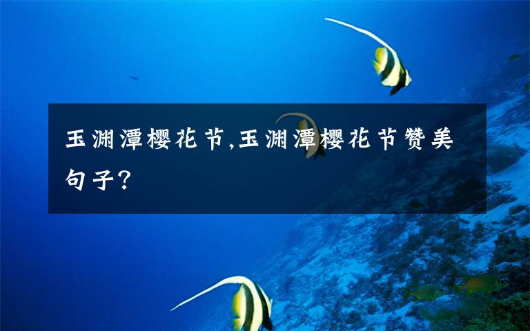 玉渊潭樱花节,玉渊潭樱花节赞美句子?