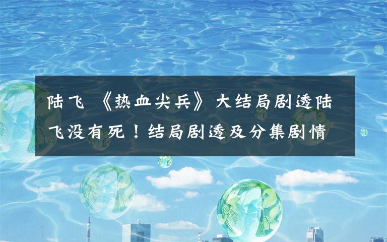 陆飞 《热血尖兵》大结局剧透陆飞没有死！结局剧透及分集剧情介绍