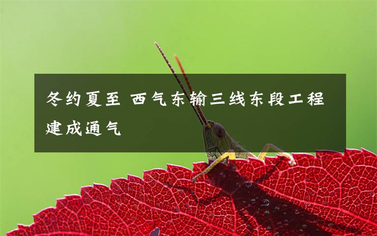 冬约夏至 西气东输三线东段工程建成通气