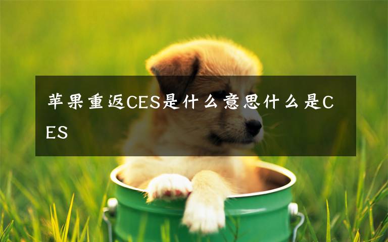 苹果重返CES是什么意思什么是CES