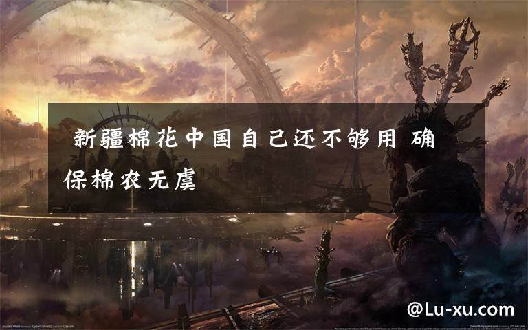 新疆棉花中国自己还不够用 确保棉农无虞