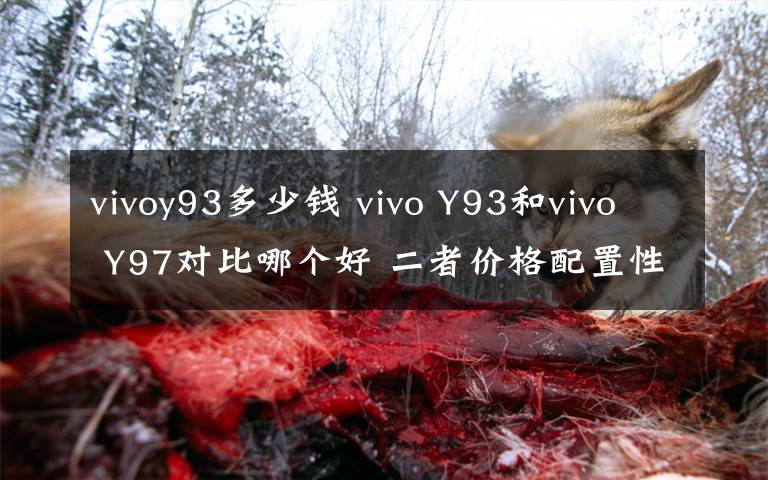 vivoy93多少钱 vivo Y93和vivo Y97对比哪个好 二者价格配置性能区别