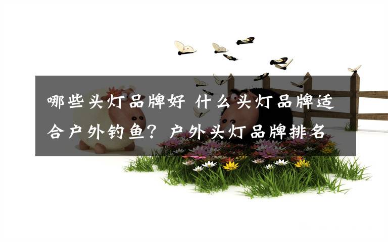 哪些头灯品牌好 什么头灯品牌适合户外钓鱼？户外头灯品牌排名