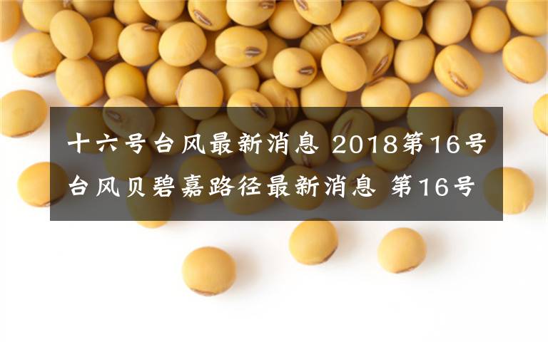 十六号台风最新消息 2018第16号台风贝碧嘉路径最新消息 第16号台风贝碧嘉在哪登陆