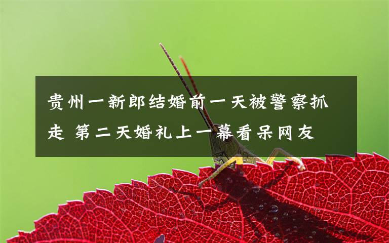 贵州一新郎结婚前一天被警察抓走 第二天婚礼上一幕看呆网友