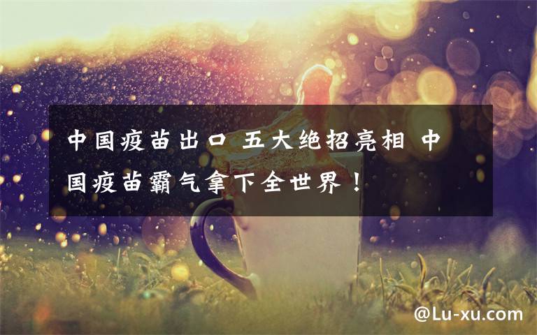 中国疫苗出口 五大绝招亮相 中国疫苗霸气拿下全世界!