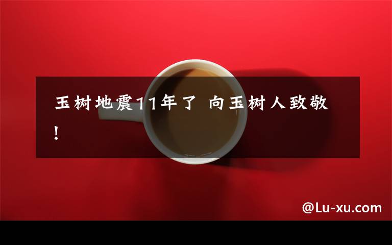 玉树地震11年了 向玉树人致敬!