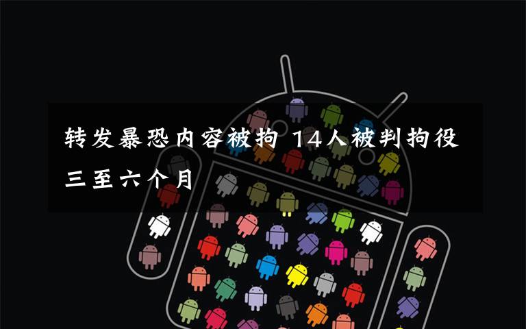 转发暴恐内容被拘 14人被判拘役三至六个月