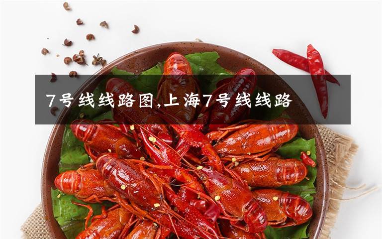 7号线线路图,上海7号线线路
