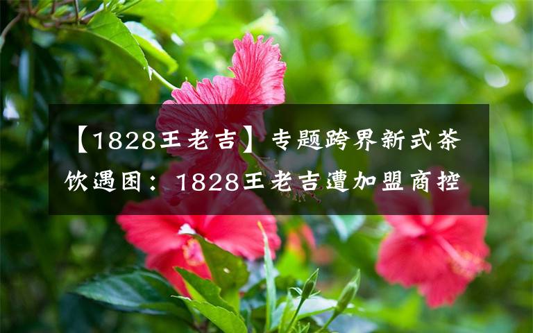 【1828王老吉】专题跨界新式茶饮遇困:1828王老吉遭加盟商控诉