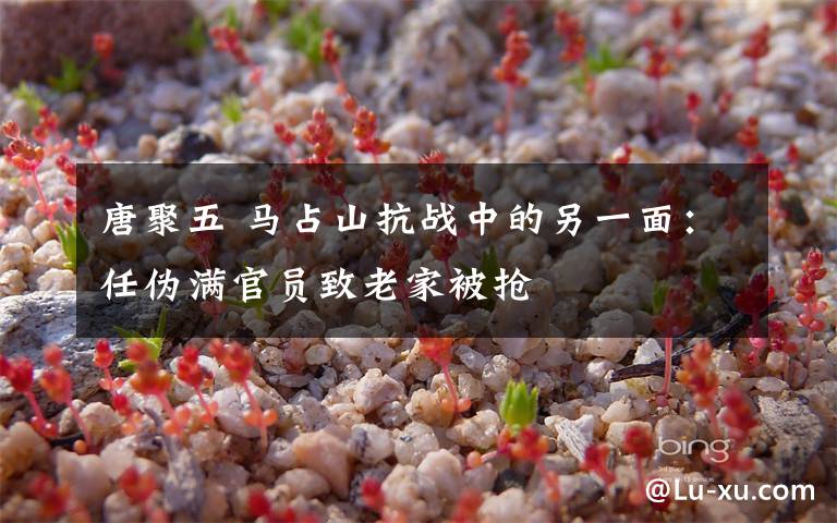 唐聚五 马占山抗战中的另一面:任伪满官员致老家被抢