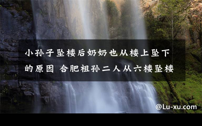 小孙子坠楼后奶奶也从楼上坠下的原因 合肥祖孙二人从六楼坠楼事件始末梳理