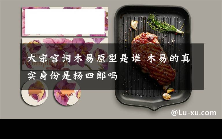 大宋宫词木易原型是谁 木易的真实身份是杨四郎吗