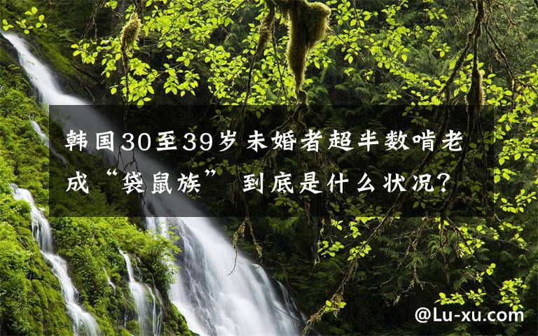 韩国30至39岁未婚者超半数啃老成“袋鼠族” 到底是什么状况?